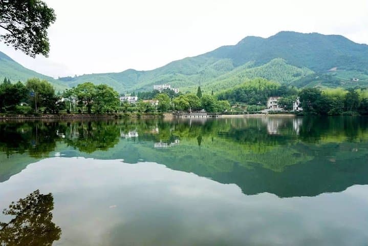 Moganshan Private Day Trip from Hangzhou: Bamboo Forests, Villages & Local Lunch photo 4