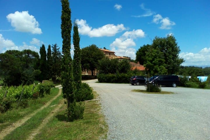 Truffle and Brunello VIP Day Trip: Tasting Montisi & Montalcino from Rome photo 4