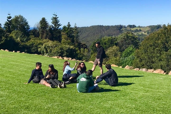 Hinterland Explorer Day Pass — Self-Guided Mount Tamborine & SE Queensland Hinterland photo 5