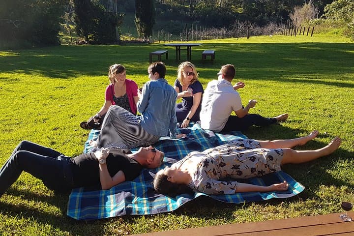 Hinterland Explorer Day Pass — Self-Guided Mount Tamborine & SE Queensland Hinterland photo 6
