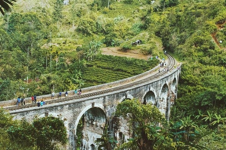 Tropical Ceylon: 8-Day Cultural and Wildlife Circuit from Colombo photo 6