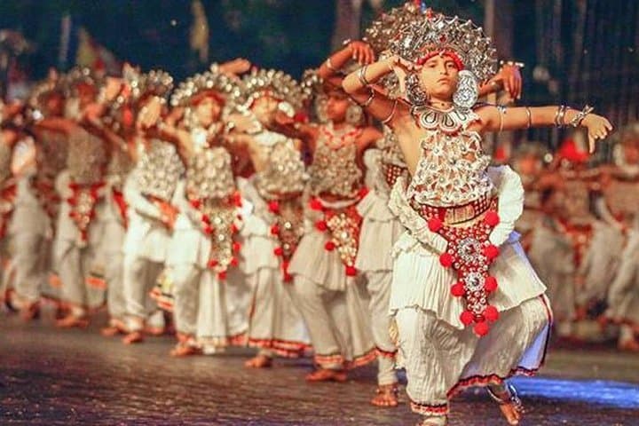 Tropical Ceylon: 8-Day Cultural and Wildlife Circuit from Colombo photo 2