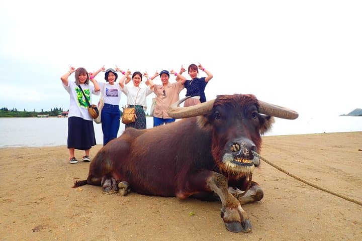 Iriomote Mangrove SUP & Canoe Tour on Yubujima Island — Day Trip from Ishigaki photo 5