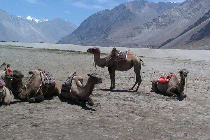 Himalayas Motorcycle Escapades: Manali to Leh Royal Enfield Adventure photo 3