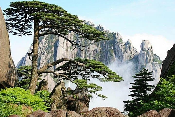 One-Day Huangshan Mountain and Xidi Village Private Tour: Cableway to White Goose Peak