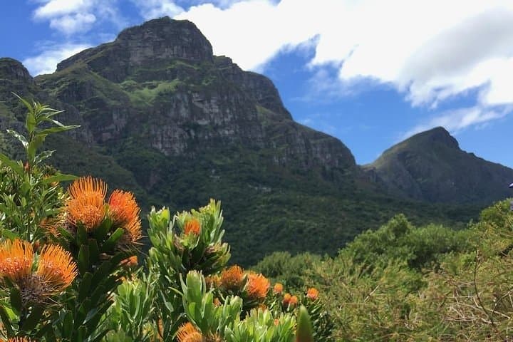 Cape Winelands & Kirstenbosch Full-Day Wine and Garden Tour from Cape Town photo 6