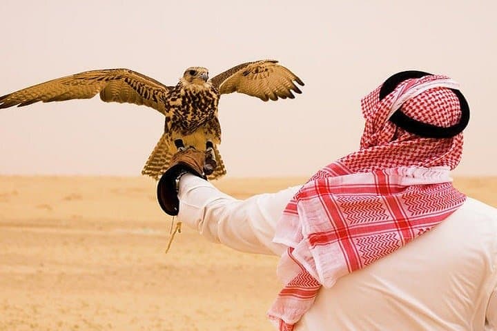 Dubai Desert Safari: Camel Riding, Sandboarding & Dune Bashing Adventure photo 2