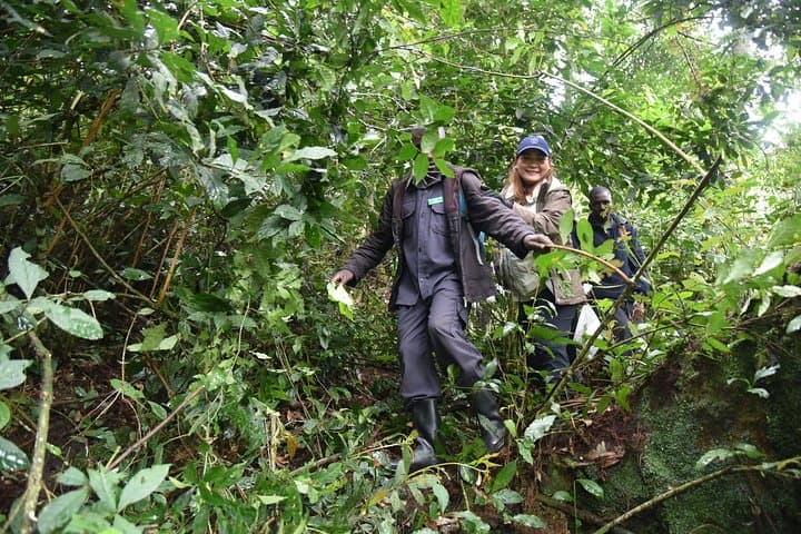 3-Day Gorilla Trekking Safari in Bwindi Impenetrable Forest & Lake Bunyonyi photo 4