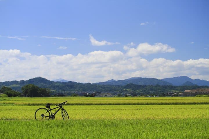 Walking and Cycling in Ryugon: Countryside Trails Along the Uono River photo 2