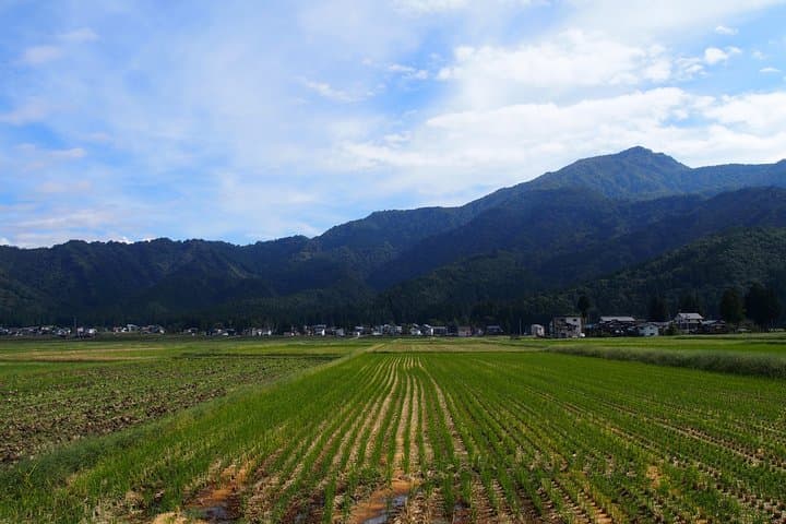 Walking and Cycling in Ryugon: Countryside Trails Along the Uono River photo 3