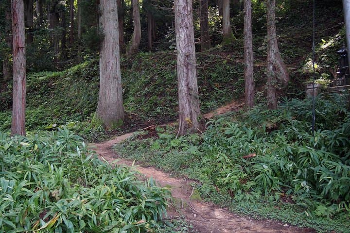 Walking and Cycling in Ryugon: Countryside Trails Along the Uono River photo 6