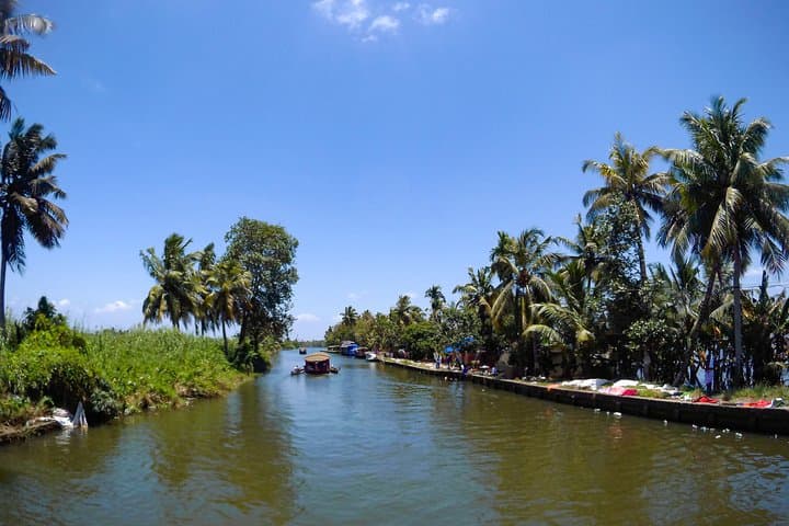 alleppey-backwater-houseboat-day-tour-from-kochi photo 5