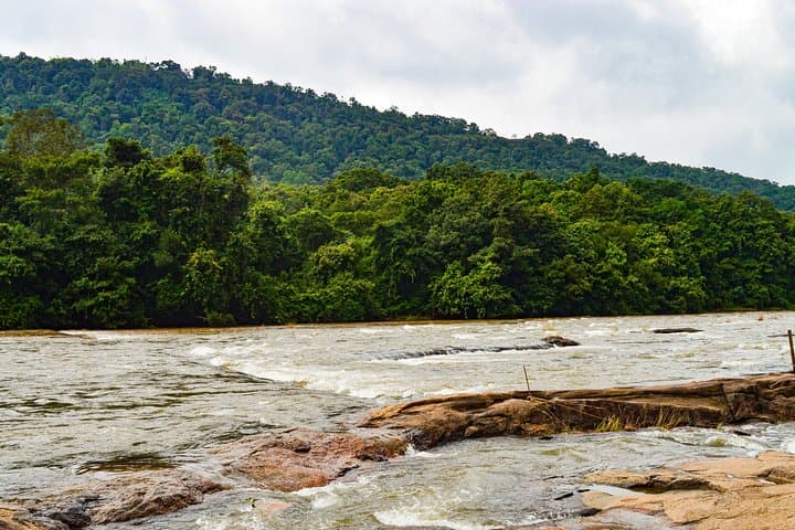 Athirappilly Falls & Cherai Beach Day Trip from Kochi — Waterfalls, Backwaters and Beach Activities photo 4