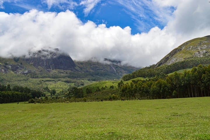 Full-Day Private Munnar Tour from Kochi — Eravikulam, Tea Plantations & Waterfalls photo 1