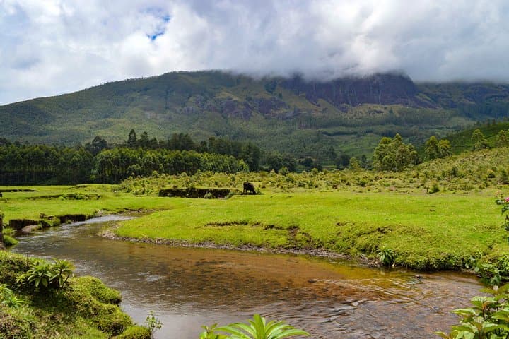 Kerala in Six Days: Munnar Hills, Alleppey Backwaters & Kovalam Beach Escape photo 3