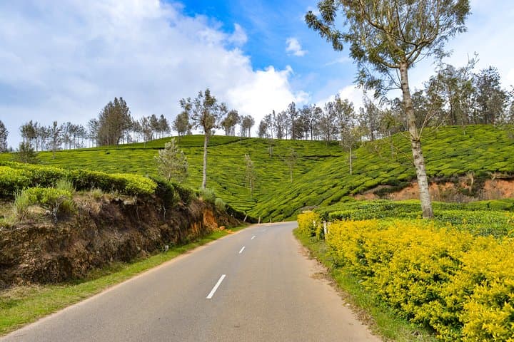 Full-Day Private Munnar Tour from Kochi — Eravikulam, Tea Plantations & Waterfalls photo 4