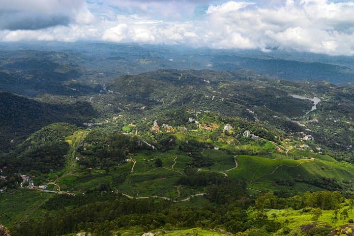 7-Day Kerala Odyssey: Munnar Tea Hills, Periyar Wildlife, Alleppey Backwaters & Varkala Cliffs photo 3