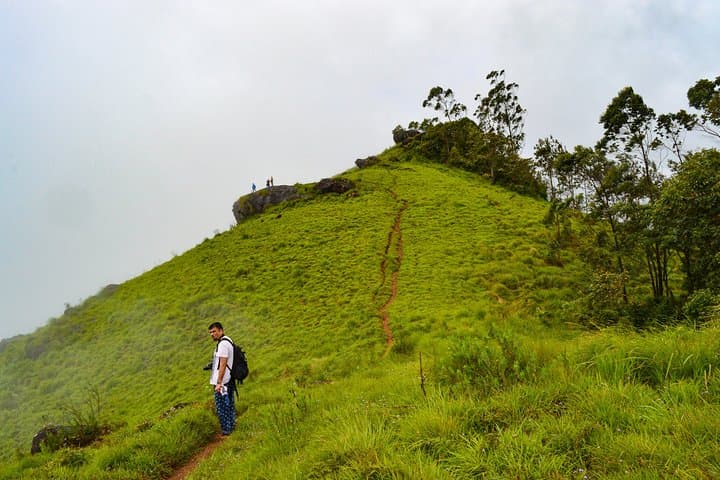 7-Day Kerala Odyssey: Munnar Tea Hills, Periyar Wildlife, Alleppey Backwaters & Varkala Cliffs photo 4