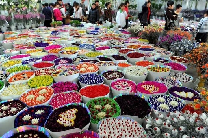 Kunming Dounan Flower Market & Flower Pastry Cooking Class — Half-Day Private Tour photo 2