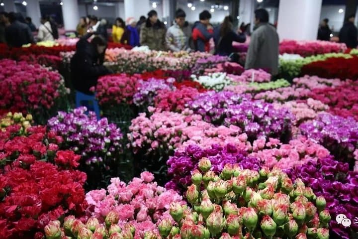 Kunming Dounan Flower Market & Flower Pastry Cooking Class — Half-Day Private Tour photo 3