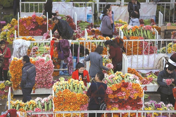 Kunming Dounan Flower Market & Flower Pastry Cooking Class — Half-Day Private Tour photo 4
