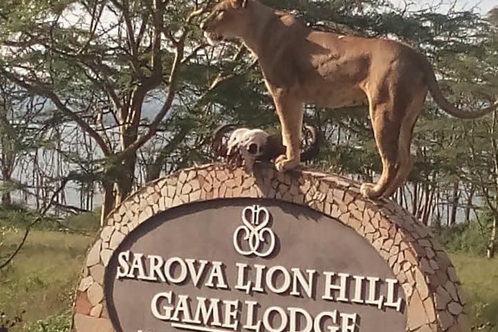 5-Day Aberdare, Lake Nakuru & Maasai Mara Safari — Flamingos, Big Five & Sunrise Game Drives