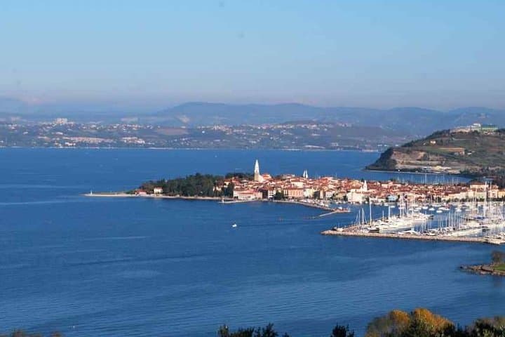 Custom Slovenian Coastal & Cave Adventure from Koper or Piran