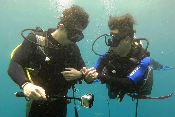 Nusa Penida Manta Point: Day Dives to See Manta Rays and Crystal Bay photo 6