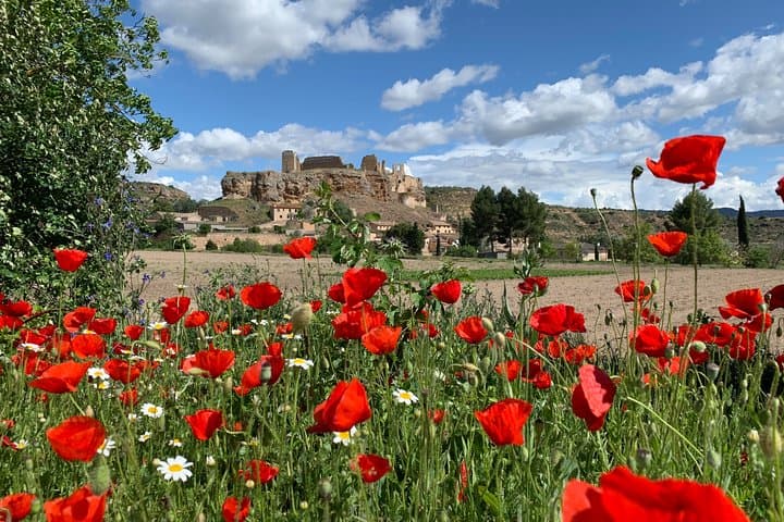 Unspoiled Spain: La Mancha Food & Wine Tasting with Castle Visit photo 5