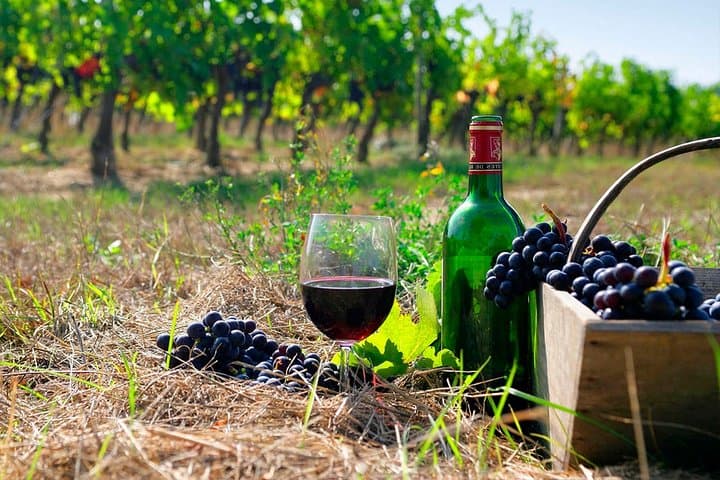 Tatev Ropeway, Noravank & Areni Wine Tour from Yerevan photo 2