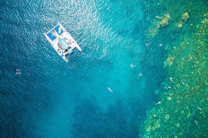 Kaanapali Mala Xpress Snorkel: 2.5-Hour Turtle and Coral Cruise photo 5