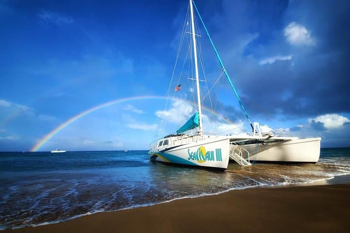 West Maui Half-Day Snorkel from Ka’anapali Beach — Dolphins, Turtles & Whale Season photo 1