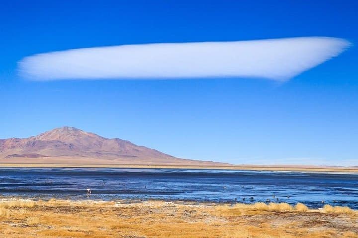 Altiplanic Lagoons, Piedras Rojas & Salar de Atacama — Full-Day from San Pedro photo 2