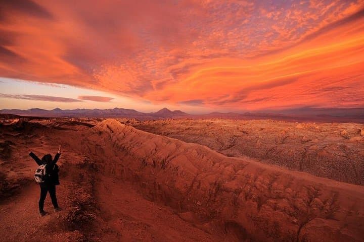 Altiplanic Lagoons, Piedras Rojas & Salar de Atacama — Full-Day from San Pedro photo 3