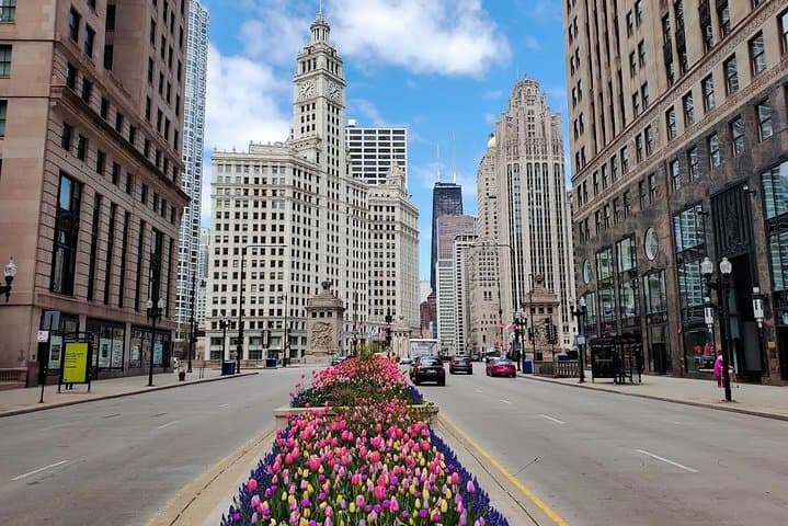 Chicago City Minibus Tour — 2-Hour Small-Group Skyline & Lakefront Highlights photo 6