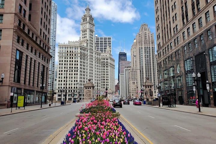 Chicago City Highlights Tour with Optional Architecture River Cruise photo 6
