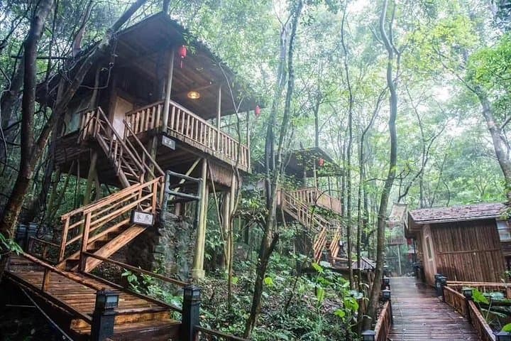 Overnight Treehouse Hot Springs & Tianmen Ditch National Park from Guangzhou photo 2