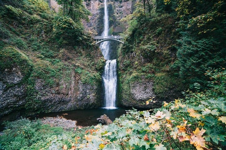 Mt Hood Loop Tour: Multnomah Falls, Hood River & Timberline Lodge photo 2