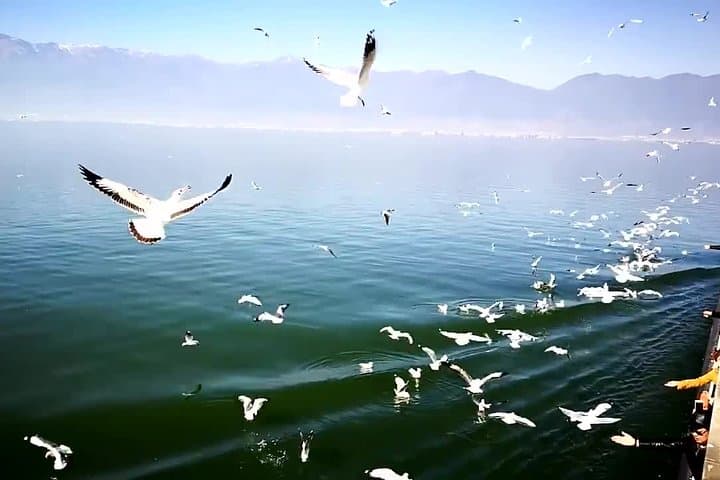 Explore Dali Ancient City & Erhai Lake: Private Day Tour from Dali photo 4
