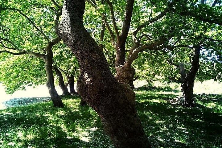 Hike to Kameno Monastery: Medieval Ruins and Freshwater Springs near Delvinë photo 3