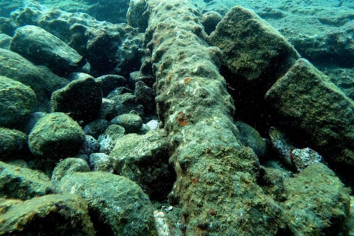 Snorkel the Vila Franca do Campo Islet: Guided Boat Trip to the Caldera Lagoon photo 2
