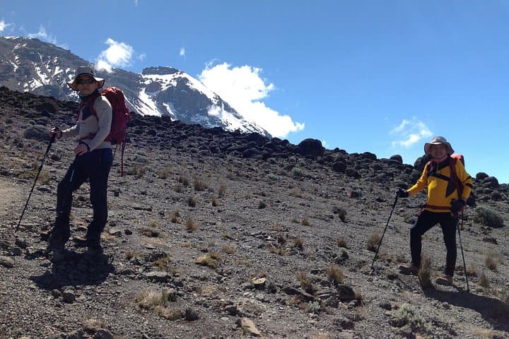 7-Day Lemosho Route: Climb Mount Kilimanjaro via Shira Plateau photo 4