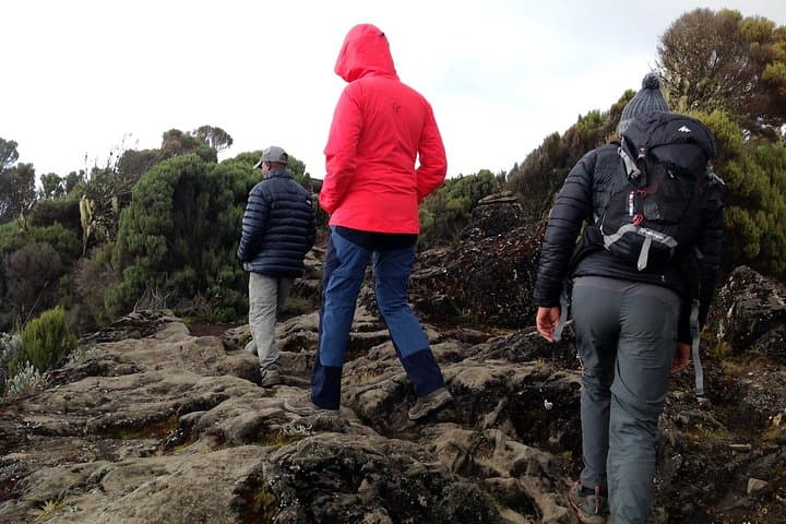 6-Day Kilimanjaro Machame Route (Whiskey Route) Guide photo 2