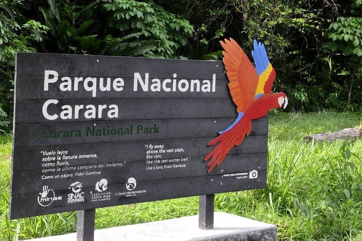 Carara National Park Shore Excursion from Puntarenas — Scarlet Macaws & Tárcoles Crocodiles photo 3