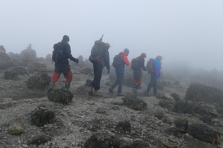 Kilimanjaro 2-Day Hike on the Marangu Route: Mandara to Horombo Hut photo 2
