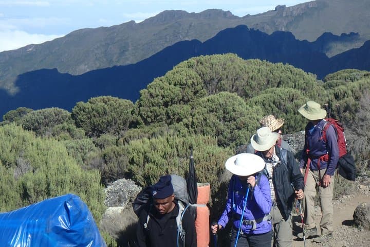 Kilimanjaro 2-Day Hike on the Marangu Route: Mandara to Horombo Hut photo 3