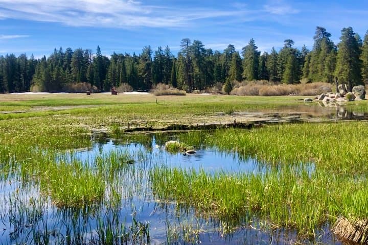 Bluff Lake Jeep Tour: Off-Road Into Big Bear's Hidden Lake photo 4
