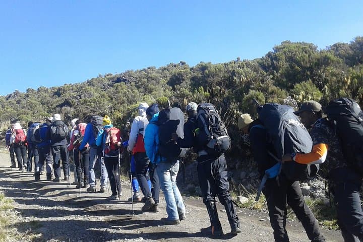 One-Day Machame Route Hike on Kilimanjaro — Moshi to Machame Camp