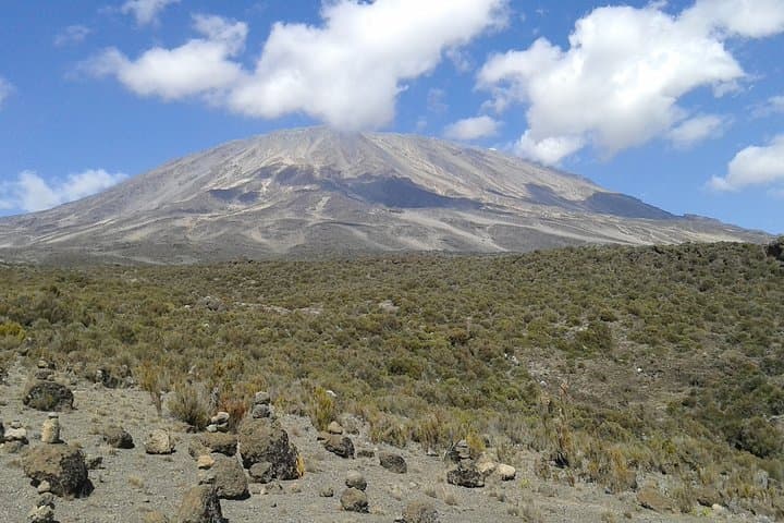 One-Day Machame Route Hike on Kilimanjaro — Moshi to Machame Camp photo 4