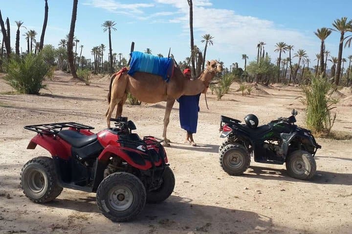 Palmeraie Camel Ride & Quad Bike Adventure from Marrakech